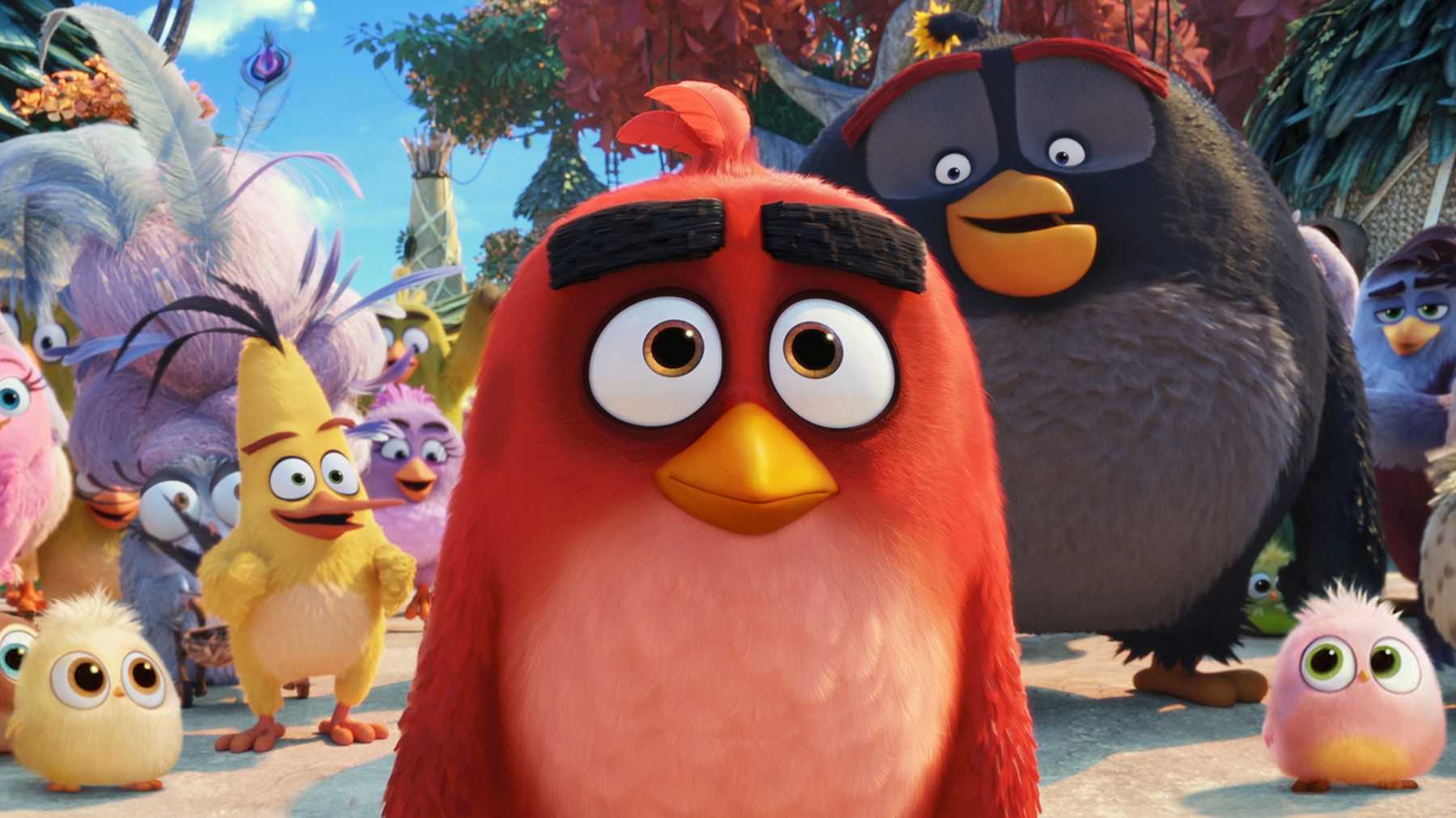 Angry Birds 2 Una película para toda la familia Tadaima