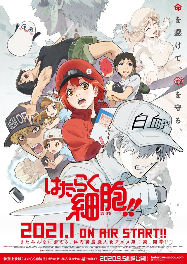 Cells at Work!! estrena su segunda temporada en enero de 2021.