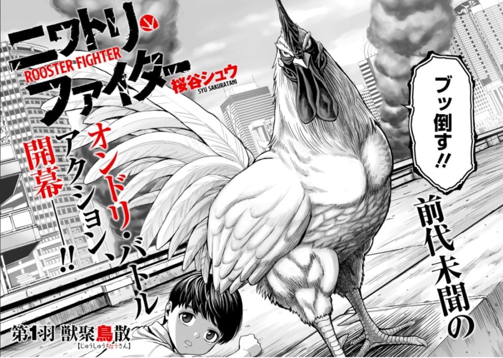 Rooster Fighter un nuevo manga muy peculiar. | Tadaima