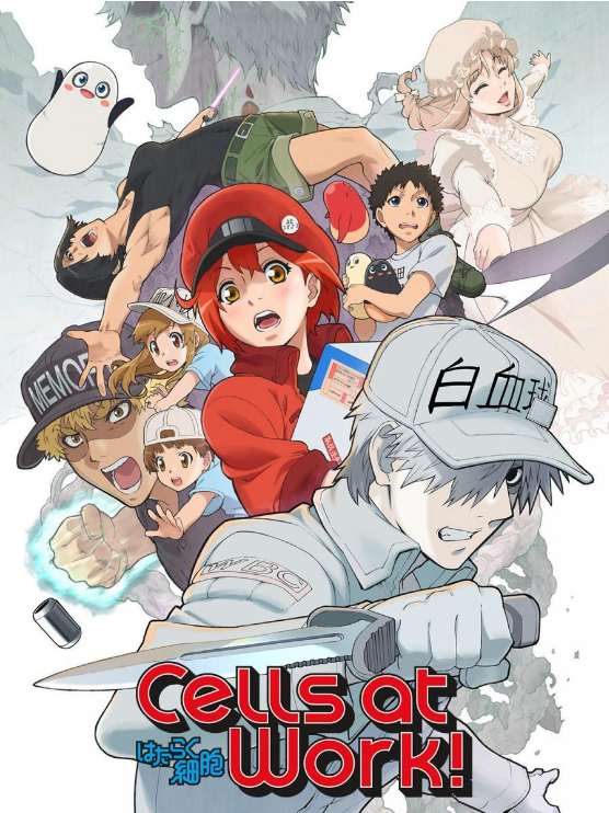 Cells at Work!! Segunda Temporada