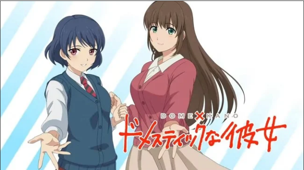 Domestic Girlfriend