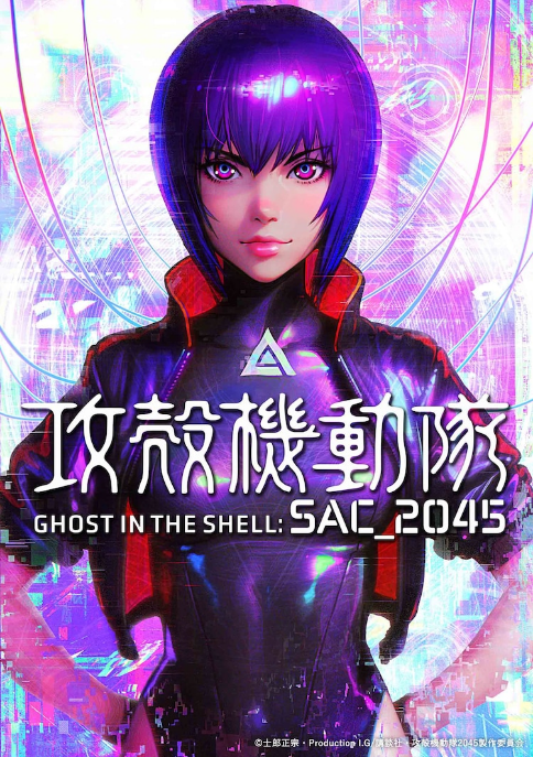 Ghost in the Shell: SAC_2045