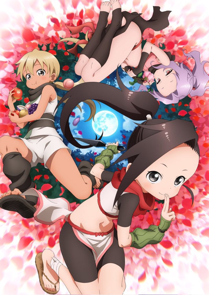 In the Heart of Kunoichi Tsubaki visual anime